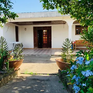 The Kapokier Guest house