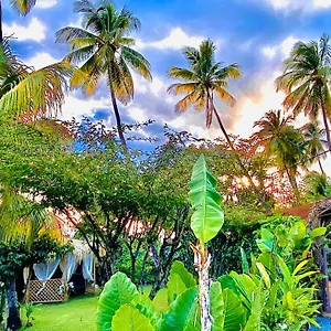  Hébergement de vacances Majo Lounge Dans Un Jardin Tropical A 5 Min De La Caraibe